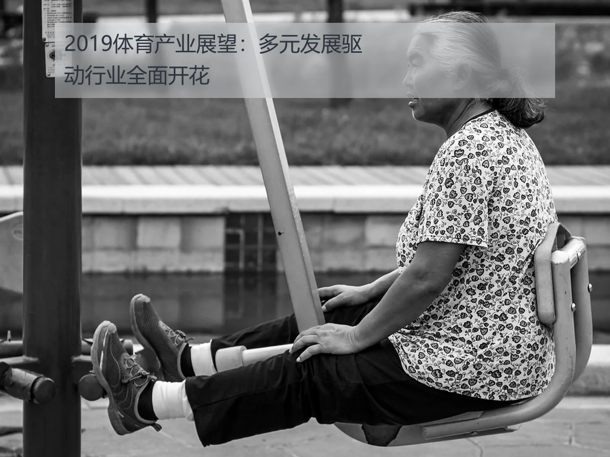 2019体育产业展望：多元发展驱动行业全面开花